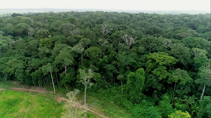 FAZENDA APTA A RECEBER CRÉDITOS DE CARBONO EM MATO GROSSO